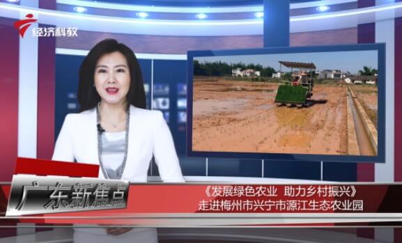 广东电视台广东新焦点报道—梅州市源江生态农业有限公司 